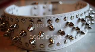 Black & Gold Leather Dog Collar Spikes Rottweiler 18 21  