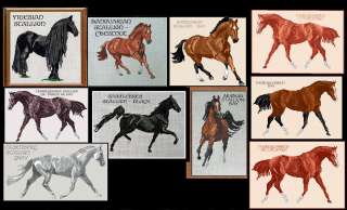HORSE COUNTED CROSS STITCH PATTERNS  