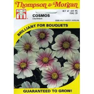   & Morgan 6305 Cosmos Daydream Seed Packet Patio, Lawn & Garden