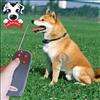 New 4in1 Remote Control Pet Dog Training No Bark C