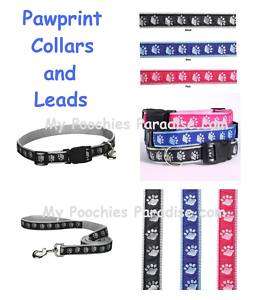 PAWPRINT COLLARS & LEADS for DOGS   Many Sizes & Colors  