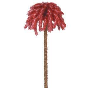  South Carolina State Palm Tree 8 Feet