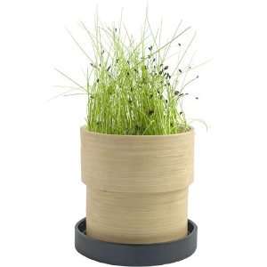  Bamboo Growing Kit of Organic Chives Patio, Lawn & Garden