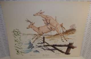 1970 Gene Gray Signed White Tailed Deer Print  