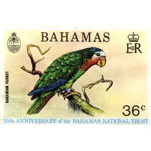  Bahamas 15th Anniversary Bahamian Parrot Stamp Print 