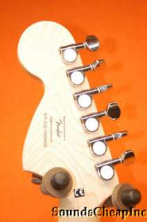 Squier Deryck Whibley Telecaster Guitar *Repair  