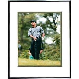  Tiger Woods Chipping Wall Art