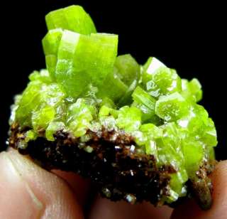 Green Pyromorphite Crystal Cluster Specimen DZ070  