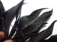 F881 PER FEET  Black Cut Curl Rooster Hackle feather fringe Fascinator 