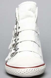 Ash Shoes The Gin Sneaker in White Canvas  Karmaloop   Global 