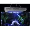 LED Aquarium Beleuchtung LED Aufsetzleuchte für Aquarien 120 cm 