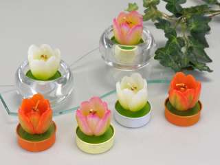formano 6er Set Teelicht Tulpe 4cm Frühlingsfarben  