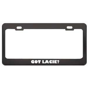 Got Lacie? Girl Name Black Metal License Plate Frame Holder Border Tag