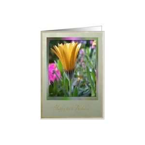  Yellow Gerber Daisy Flower / Happy 100th Birthday Card 