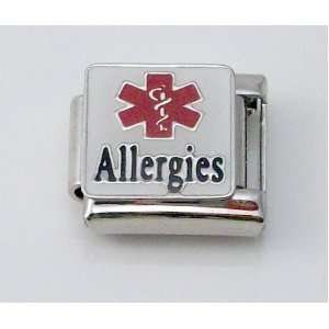 Allergies Medical ID Alert Italian Charm for Bracelet Allergy