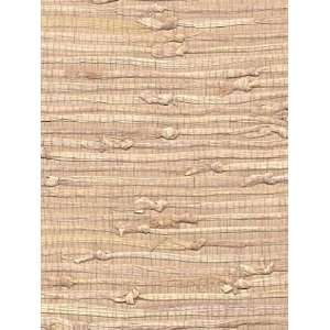  Wallpaper Astek Grasscloth & textures V AtX222