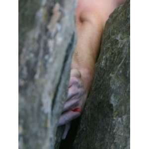  Rock Climber Jams His Hand into a Crevice While Climbing 
