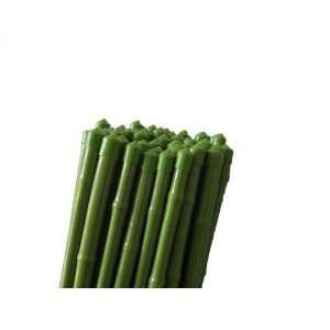  Plant Stakes 5 PVC Coated Bamboo poles Pointed Ends 24 