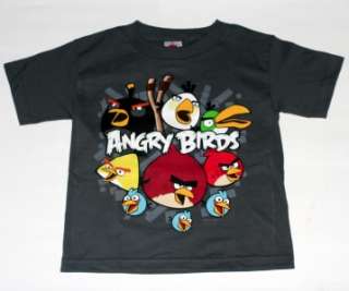 ANGRY BIRDS Rovio Mobile Video Game Fifth Sun Gray BOYS KIDS YOUTH T 