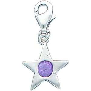 Sterling Silver February CZ Birthstone Star Charm Jewelry