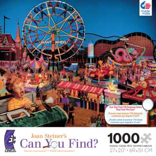 Ceaco Joan Steiners Can You Find Amusement Park Jigsaw  