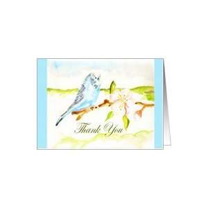  Thank you, budgie on apple branch, blue border Card 