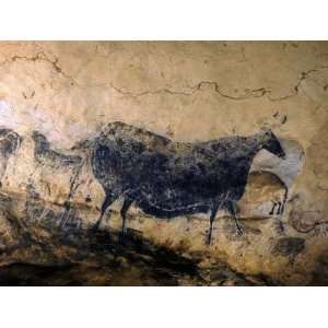  Lascaux Cave Drawing Depicting Steer, Circa 15,000 BC 