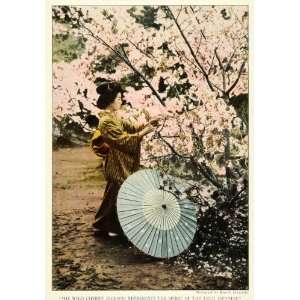 1922 Print Japanese Lady Paper Umbrella Cherry Blossom Tree Sakamoto 