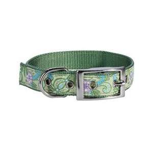  Pretty Paisley Collars 6 10 