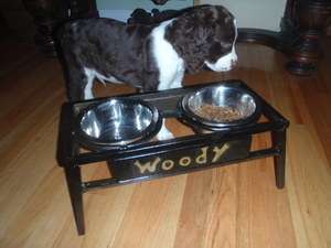   Elevated Dog feeder Wrought Iron Your Pets Name Stainless Bowls 1qt