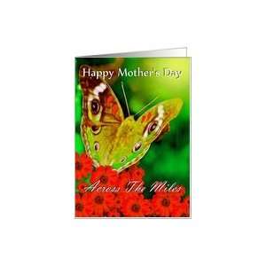  Happy Mothers Day ~ Across The Miles ~ Butterfly & Red Daisies 