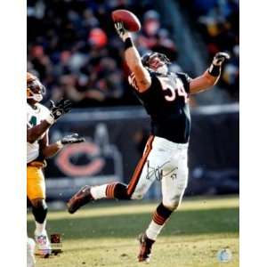 Brian Urlacher Signed 16x20 Interception