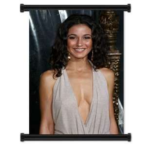 Emmanuelle Chriqui Fabric Wall Scroll Poster (16x24) Inches