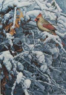 Ron Parker Cardinal in Brambles Limited Print Signed & Numbered RARE 