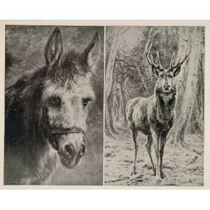  1893 Chicago Worlds Fair Rosa Bonheur Donkey Elk Print 