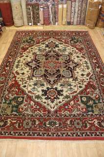   New Heriz Indian Wool Handmade Oriental Area Rug Carpet 10x14  
