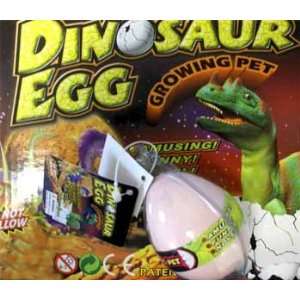  Hatching Dinosaur In Egg Case Pack 12 Toys & Games