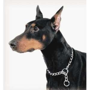    Titan Chain Training Dog Collar Extra Heavy 22In