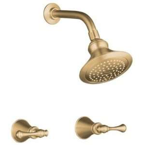  Double Handle Shower Only with Single Function Showerhead 