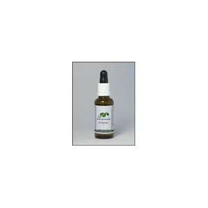  Native Remedies Ear Ok Drops for Treating Ear Infections 