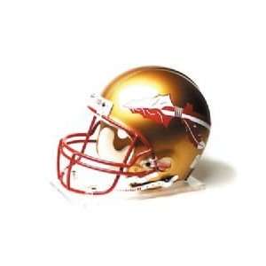  State Full Size Authentic NCAA Football Helmet