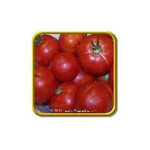  1 Lb   Heirloom Tomato Seeds   Wisconsin 55 Bulk 