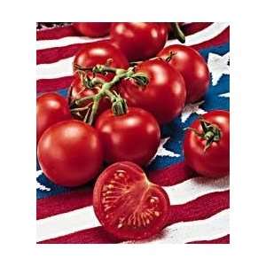  Fourth of July Hybrid Tomato 25 Seeds   Early Variety 