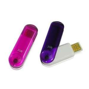  pqi i261  2GB SwingDisk USB 2.0 Flash Drive   Purple Electronics