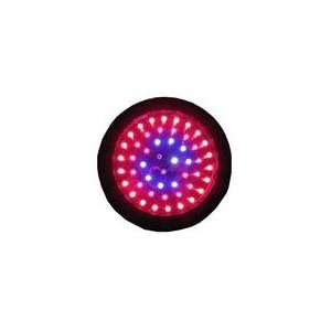   LIGHTHOUSE 100W Blackstar UV LED Grow Light 2w LEDs