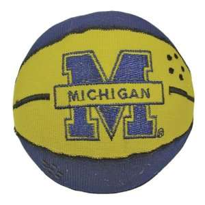  Michigan Wolverines Basketball Smashers