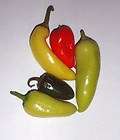 HOT PEPPER SEED MIX   25 HOT PEPPERS FRESH SEEDS 