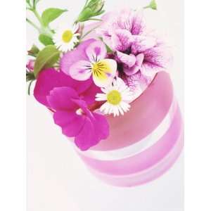  Summer Flowers, Petunia, Viola & Impatiens in Pink Glass 