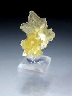 Excellent Yellow Star Muscovite Crystal Group  
