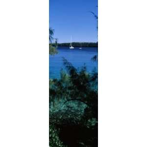  Sailboats in the Ocean, Kingdom of Tonga, Vavau Group of 